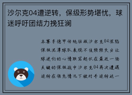 沙尔克04遭逆转，保级形势堪忧，球迷呼吁团结力挽狂澜